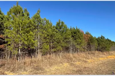 Lot 8A Whitfield Rd, Elko, GA 31025 - Photo 1