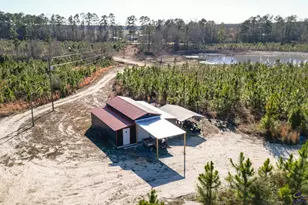 684 Chester - Cochran Hwy, Chester, GA 31012 - Photo 1