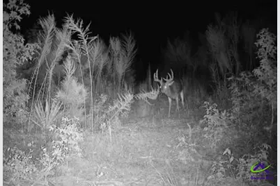 869 Chester-Cochran Highway, Chester, GA 31012 - Photo 5