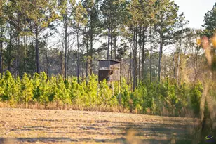 869 Chester - Cochran Hwy, Chester, GA 31012 - Photo 1