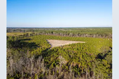 869 Chester-Cochran Highway, Chester, GA 31012 - Photo 25