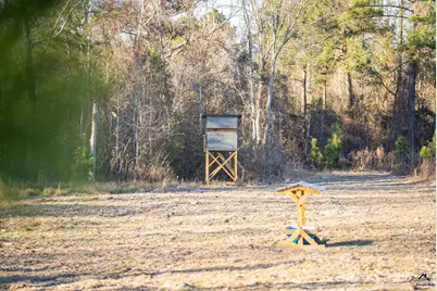 869 Chester-Cochran Highway, Chester, GA 31012 - Photo 3