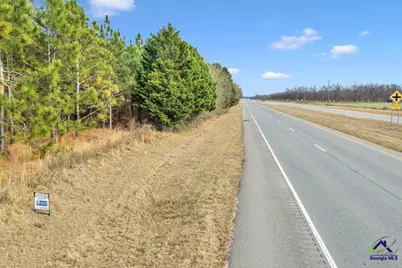 Woolfolk Road Road, Fort Valley, GA 31030 - Photo 5