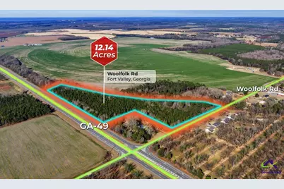 Woolfolk Road Road, Fort Valley, GA 31030 - Photo 3