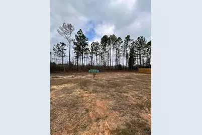 150 Long Pines Circle, East Dublin, GA 31027 - Photo 5