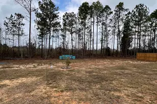 150 Long Pines Cir, East Dublin, GA 31027 - Photo 5