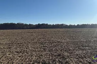 0 Whitfield Rd, Elko, GA 31025 - Photo 1