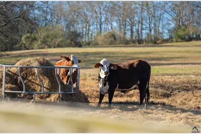 1092 Tommy Purvis Road, Reynolds, GA 31076 - Photo 71