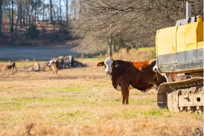 1092 Tommy Purvis Road, Reynolds, GA 31076 - Photo 73