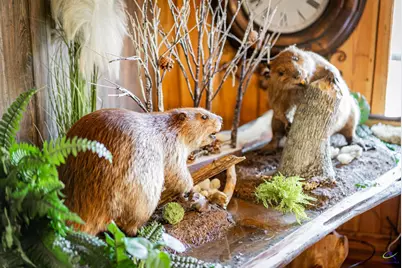 1092 Tommy Purvis Road, Reynolds, GA 31076 - Photo 53