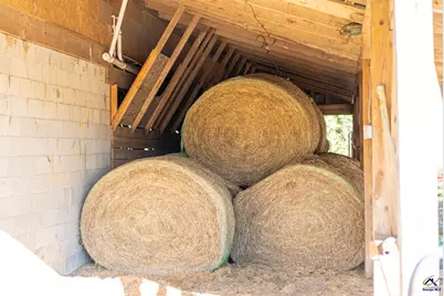 1092 Tommy Purvis Road, Reynolds, GA 31076 - Photo 61