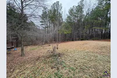 798 Williamson Road, Tallapoosa, GA 30176 - Photo 17