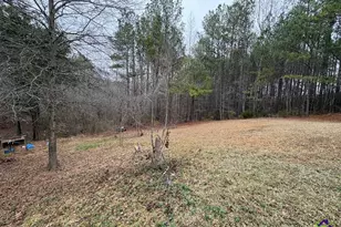 798 Williamson Rd, Tallapoosa, GA 30176 - Photo 17