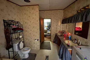 798 Williamson Rd, Tallapoosa, GA 30176 - Photo 37