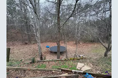 798 Williamson Road, Tallapoosa, GA 30176 - Photo 25