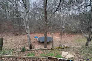 798 Williamson Rd, Tallapoosa, GA 30176 - Photo 25