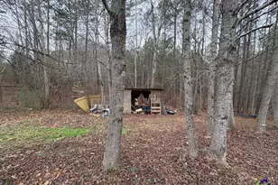 798 Williamson Rd, Tallapoosa, GA 30176 - Photo 29