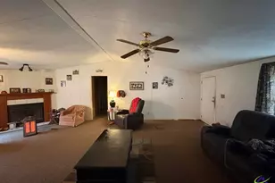 798 Williamson Rd, Tallapoosa, GA 30176 - Photo 59