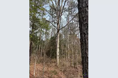 1351 Dixon Road, Roberta, GA 31078 - Photo 13