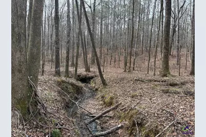 1351 Dixon Road, Roberta, GA 31078 - Photo 9