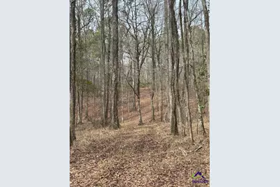 1351 Dixon Road, Roberta, GA 31078 - Photo 11