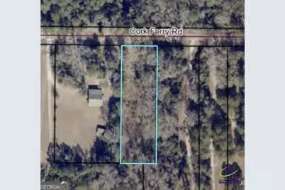 0 Cork Ferry Road, Cordele, GA 31015 - Photo 1