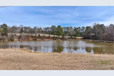 0 Colvin Road, Forsyth, GA 31029 - Photo 9