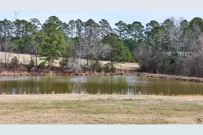 0 Colvin Road, Forsyth, GA 31029 - Photo 13