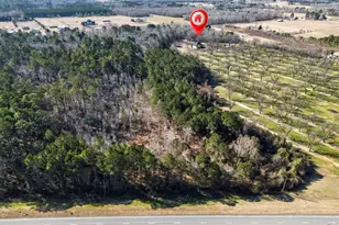 837 Klondike Rd, Hawkinsville, GA 31036 - Photo 67