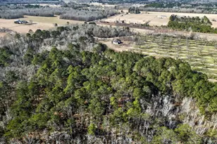 837 Klondike Rd, Hawkinsville, GA 31036 - Photo 75