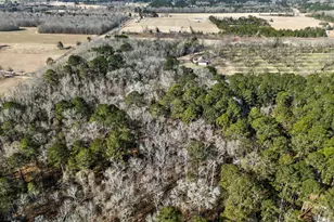 837 Klondike Rd, Hawkinsville, GA 31036 - Photo 9