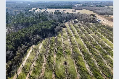 837 Klondike Road, Hawkinsville, GA 31036 - Photo 65