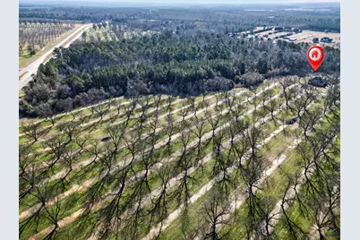 837 Klondike Road, Hawkinsville, GA 31036 - Photo 69