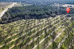 837 Klondike Rd, Hawkinsville, GA 31036 - Photo 69