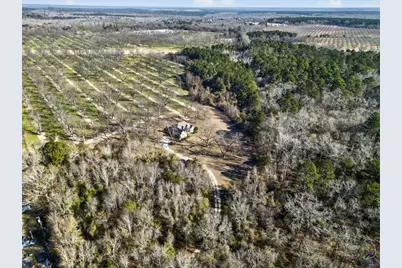 837 Klondike Road, Hawkinsville, GA 31036 - Photo 7