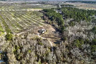 837 Klondike Rd, Hawkinsville, GA 31036 - Photo 7