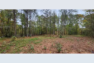 18 E Mourning Dove Court, Monticello, GA 31064 - Photo 3