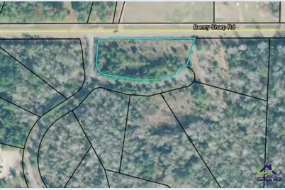 0 Benny Sharp Road, Hawkinsville, GA 31036 - Photo 1