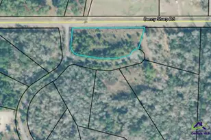 0 Benny Sharp Rd, Hawkinsville, GA 31036 - Photo 1