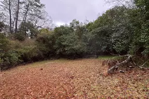 3120 Bloomfield Dr, Macon, GA 31206 - Photo 3