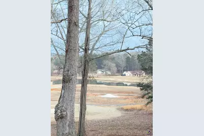 Lot 10 Oak Drive, Hawkinsville, GA 31028 - Photo 11