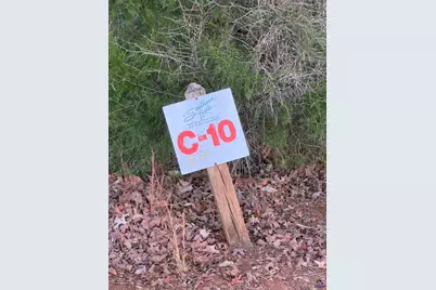 Lot 10 Oak Drive, Hawkinsville, GA 31028 - Photo 5