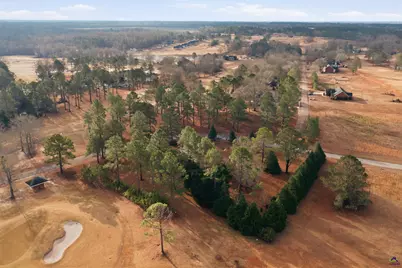 0 Crabapple Drive, Hawkinsville, GA 31036 - Photo 5