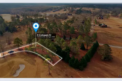 0 Crabapple Drive, Hawkinsville, GA 31036 - Photo 3
