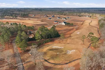 0 Crabapple Drive, Hawkinsville, GA 31036 - Photo 7