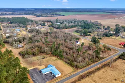 0 Mt Calvery Church Road, Hawkinsville, GA 31036 - Photo 5