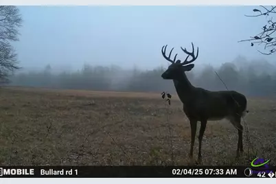 9036 Bullard Road, Dry Branch, GA 31020 - Photo 37