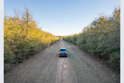 9036 Bullard Road, Dry Branch, GA 31020 - Photo 41