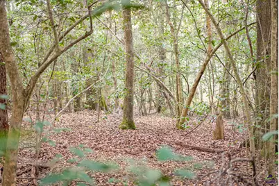 9036 Bullard Road, Dry Branch, GA 31020 - Photo 57