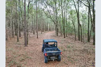 9036 Bullard Road, Dry Branch, GA 31020 - Photo 67